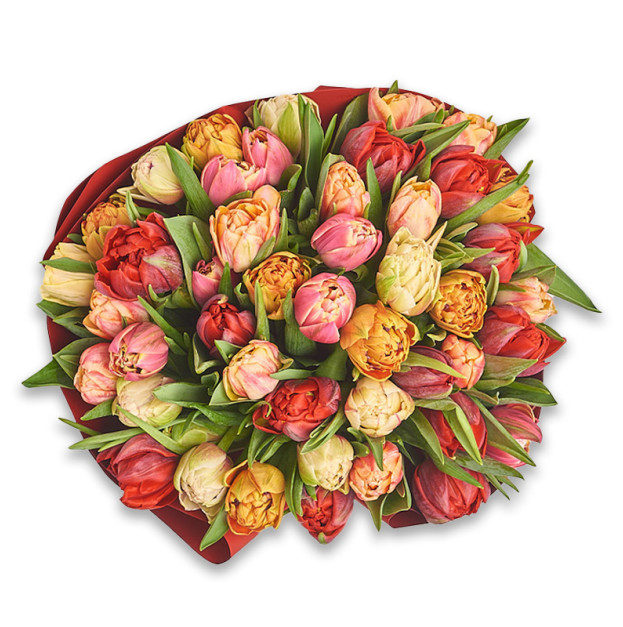 Букет 45 Піоновидних тюльпанів мікс