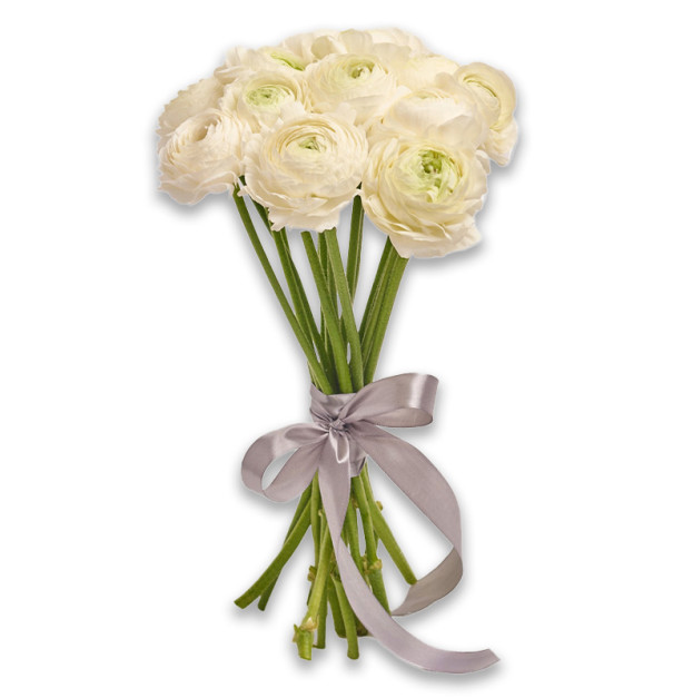 Букет 15 Білих Ранункулюсів