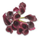 Букет 15 Фіолетових Кал