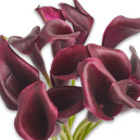 Букет 15 Фіолетових Кал