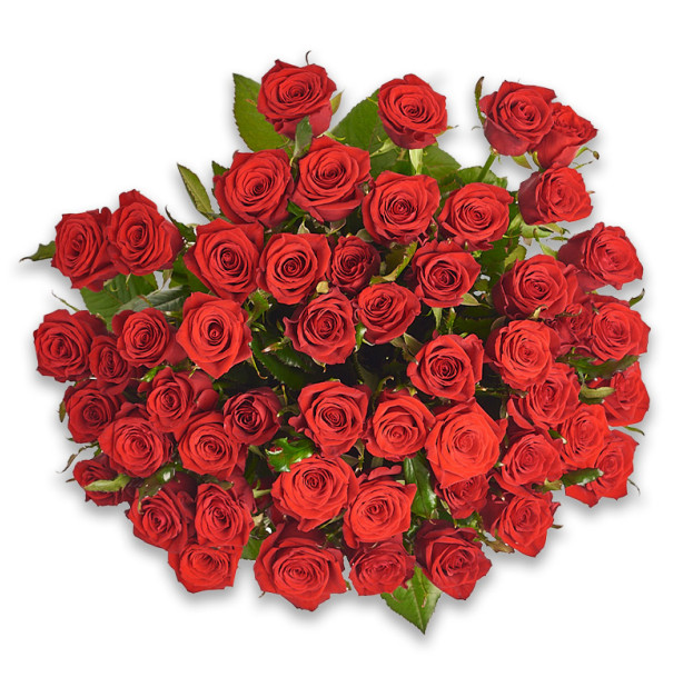 Bouquet of 51 Red Roses Prestige