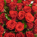 Букет 51 Червоних троянд Престиж