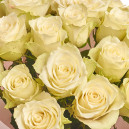 Букет 25 Троянд Атена