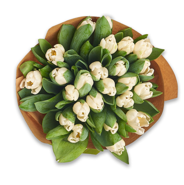 Bouquet of 25 White Tulips