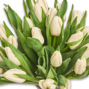 Букет 25 Белых тюльпанов