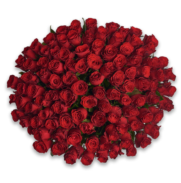 Bouquet 101 Red Rose