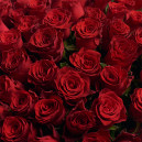 Bouquet 101 Red Rose