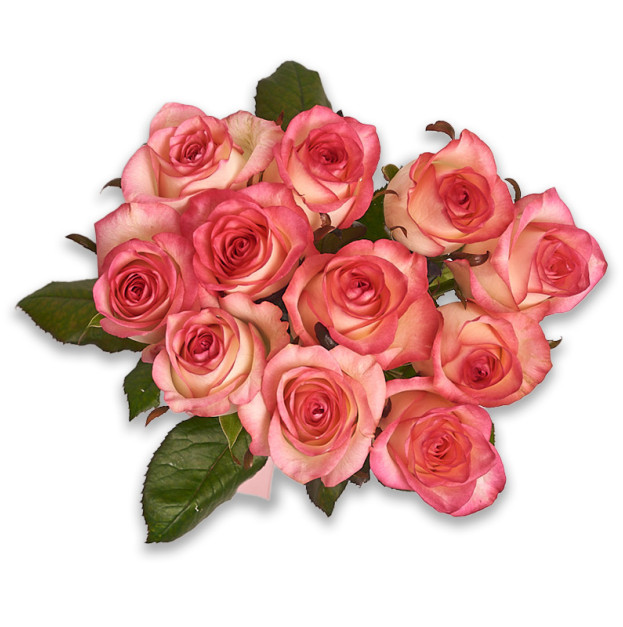 Букет 11 Троянд