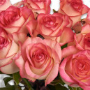 Букет 11 Троянд