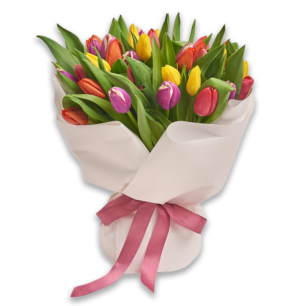 Bouquet of 35 Tulips mix