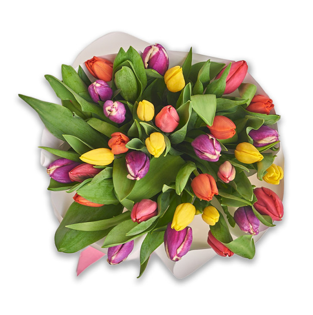 Bouquet of 35 Tulips mix