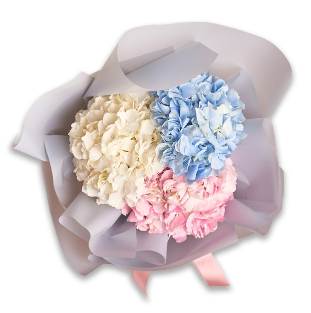 Букет 3 Гортензії Мікс