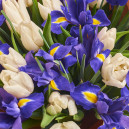 Букет Мікс Тюльпани та Іриси
