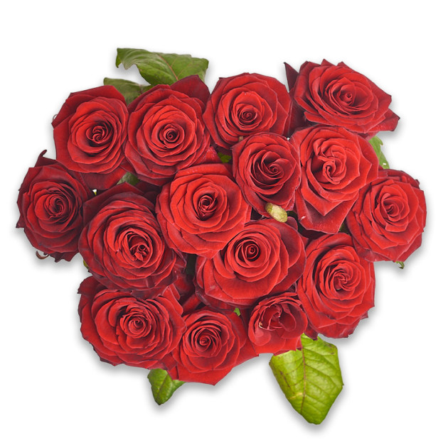 Bouquet of 15 Red Roses