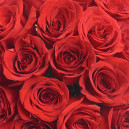 Bouquet of 15 Red Roses