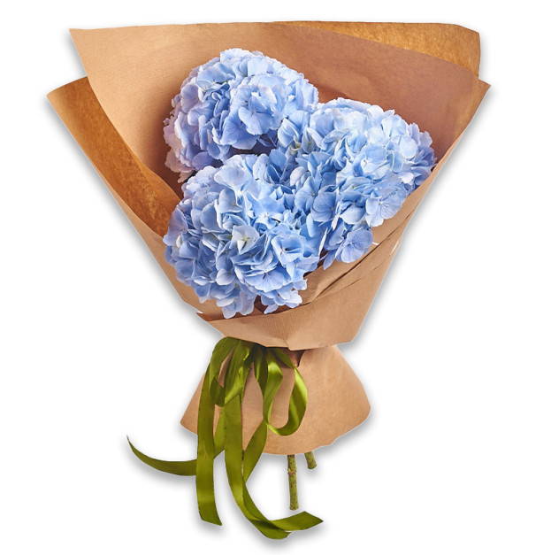 Букет 3 Блакитні Гортензії