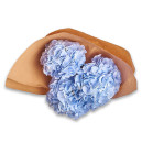 Букет 3 Голубые Гортензии