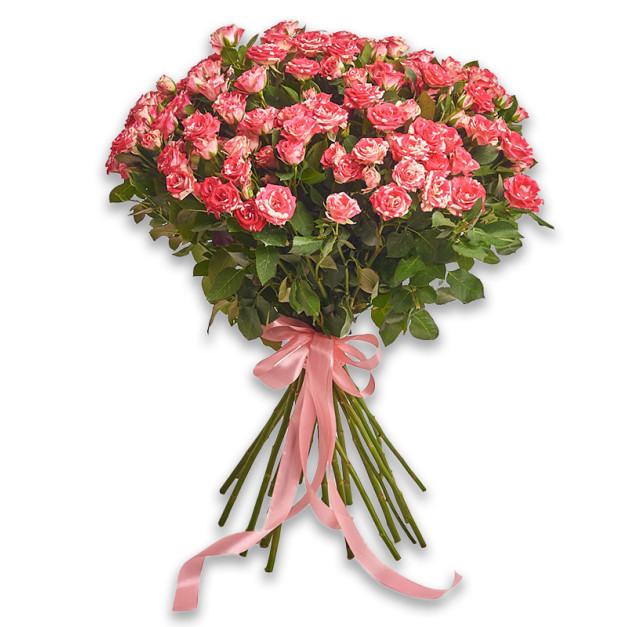 Bouquet 25 Roses Spray Fireworks