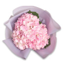 Букет 3 Рожевих Гортензії