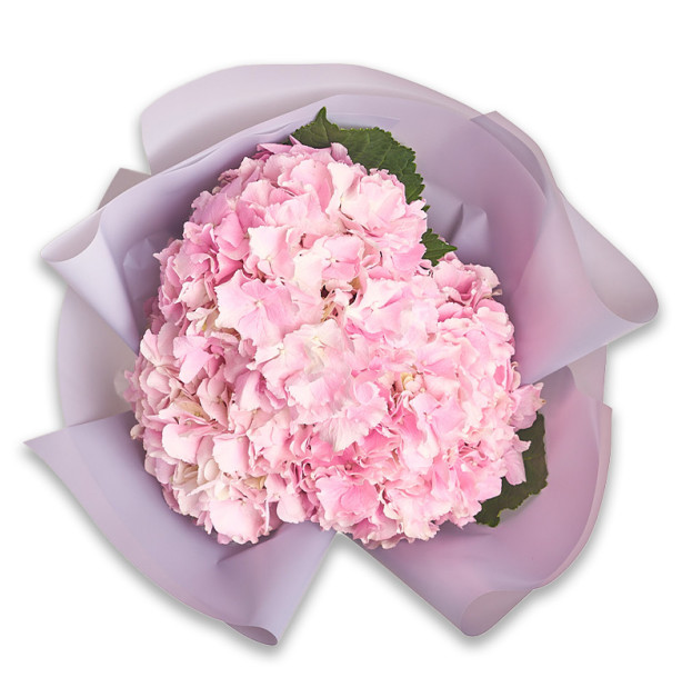 Букет 3 Рожевих Гортензії