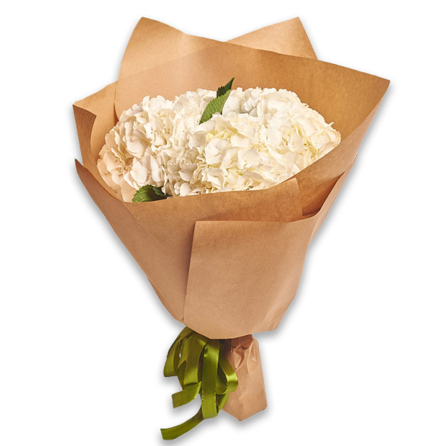 Букет 5 Білих Гортензій