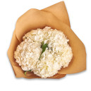 Букет 5 Белых Гортензий