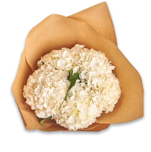 Букет 5 Білих Гортензій