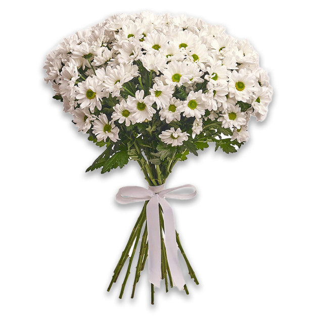 Букет 15 Білих хризантем Ромашок