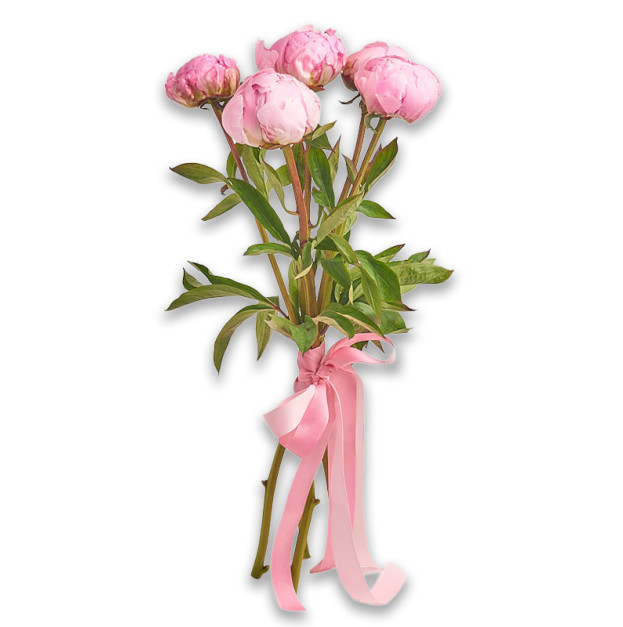Bouquet of 5 Pink Peonies