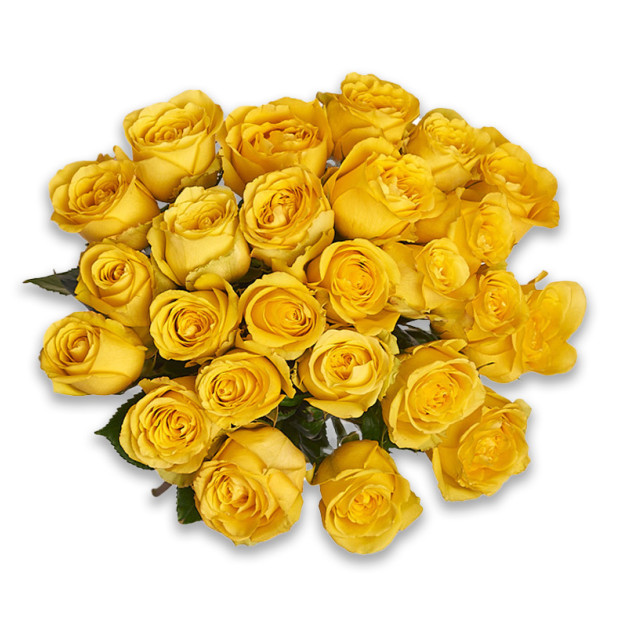 Bouquet of 25 Yellow Roses