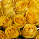 Букет 25 Желтых роз