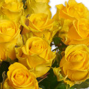 Букет 15 Жовтих троянд