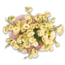 Букет 11 Кремових Еустом