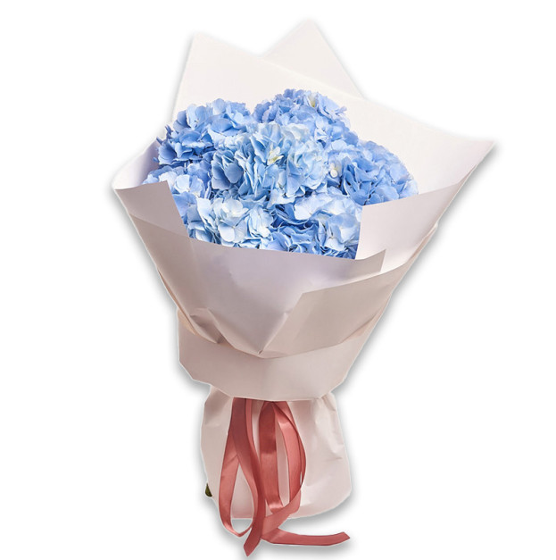 Букет 7 Блакитних Гортензій