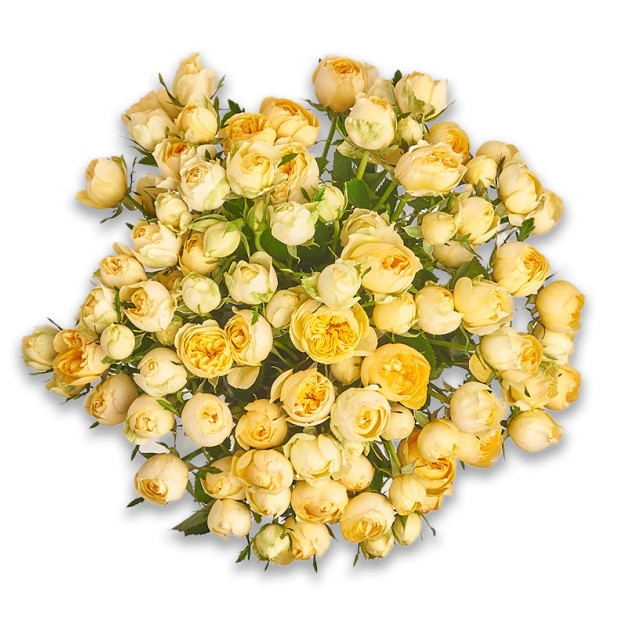 Букет 15 Жовтих Троянд Спрей