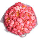 Букет 51 Коралловый Пион