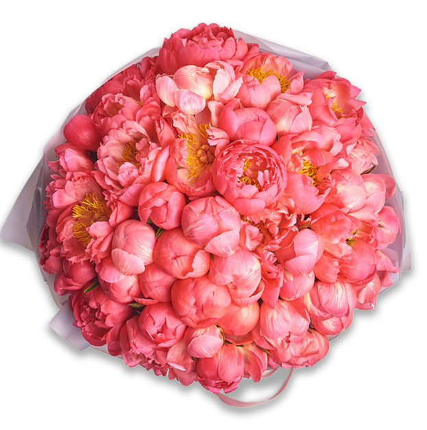 Букет 51 Коралова Півонія