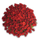 Букет 151 Червона троянда