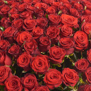 Букет 151 Червона троянда