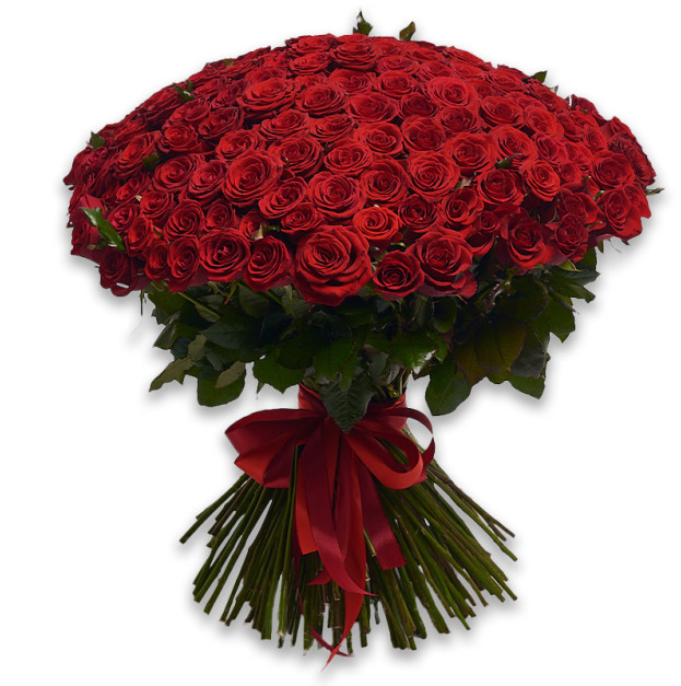 Bouquet 201 Red Rose