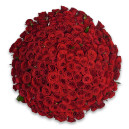 Букет 201 Красная роза