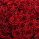 Букет 201 Красная роза