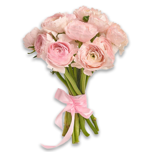 Букет 15 Рожевих Ранункулюсів