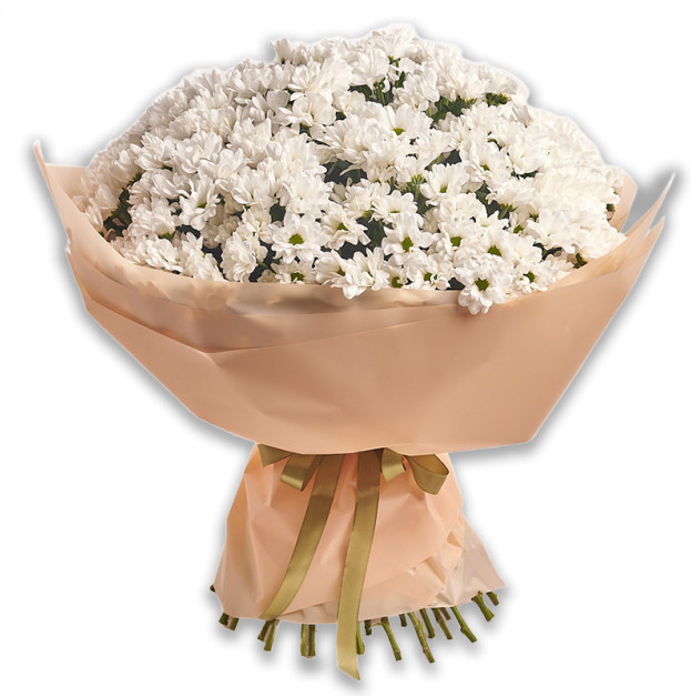 Букет 51 Біла Хризантема Ромашка