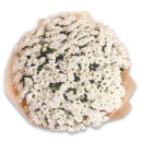 Bouquet 51 White Chrysanthemum Chamomile