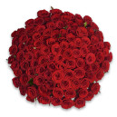 Букет 101 Червона троянда