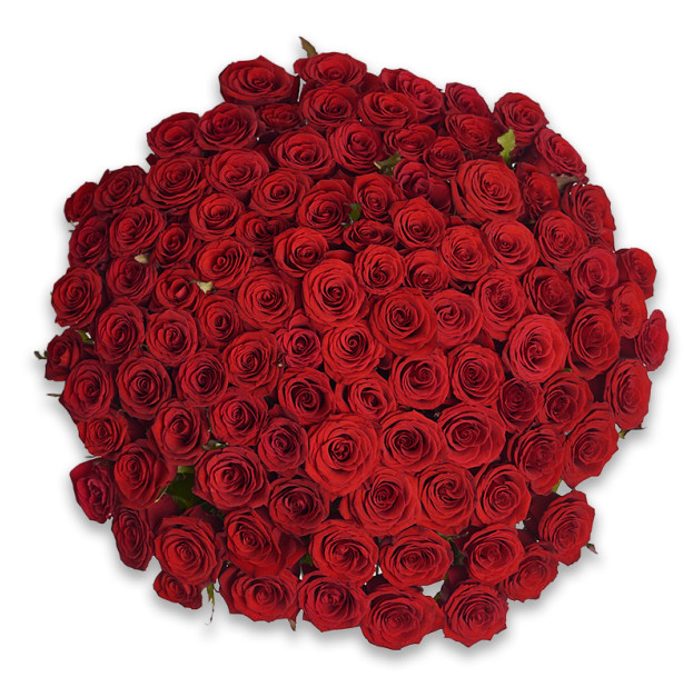 Букет 101 Червона троянда