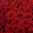 Букет 101 Червона троянда