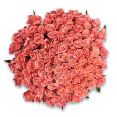 Bouquet 101 Coral Rose