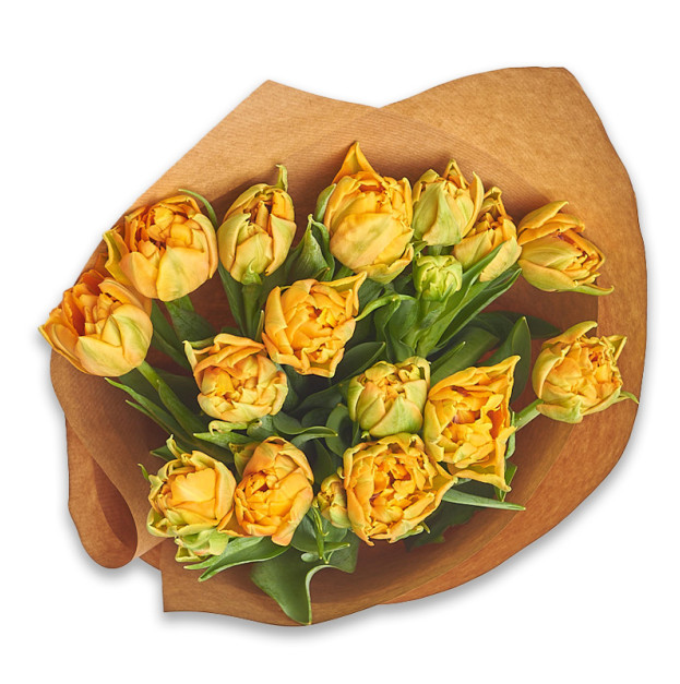 Букет 15 Помаранчевих піоновидних тюльпанів